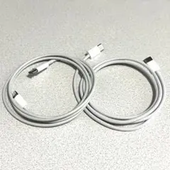 Apple純正 iPhone16 付属品 USB-C充電ケーブル（2本セット）