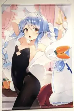 2025年最新】憂姫はぐれ 兎田ぺこら タペストリーの人気アイテム