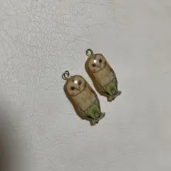フクロウ メンフクロウ チャーム