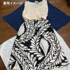 本日までの展示です ロングスカート　綿　H&M