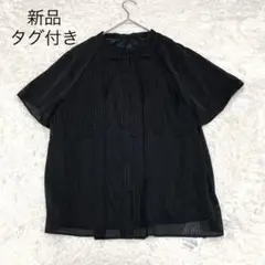 【新品タグ付き】INDIVI シアーストライプラグラン半袖ブラウス