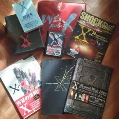 X JAPAN 限定写真集 Memorial Photo Album 2冊組 ケース付 1994