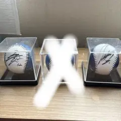 ファイターズ サイン入りボール
