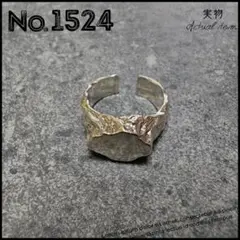 Item thumbnail for item b54f65a8-1656-4d37-b811-e3d093736787