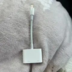 Apple 純正コネクター　HDMI端子