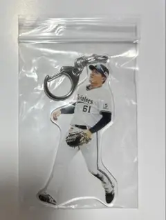 コロチャレ　茶野篤政