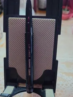 Item thumbnail for item 36d90143-9417-4b1b-bf52-cd02fc24dffb