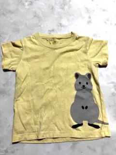 無印良品　ワラビー　Tシャツ　90