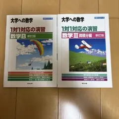 大学への数学 1対1対応の演習 数学B・III 微積分編