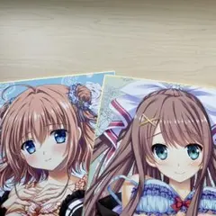 ロストエコーズ 色紙 2枚セット