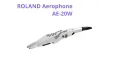 Item thumbnail for item 4556f615-f550-4530-a3de-bc9710470d44