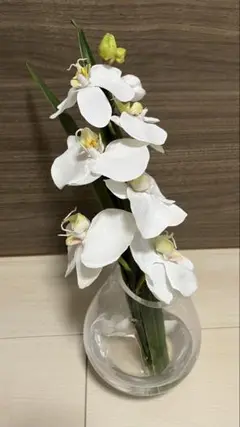 Item thumbnail for item 660b3c55-76c2-4bb5-a120-9ab6c043e403