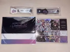 すとふぇす 5日間通しチケット 特典セット