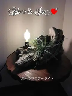 Item thumbnail for item f72e3113-d69c-4ea5-b00d-c07a8417972e