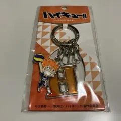 ハイキュー　日向翔陽