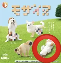 モザイヌ　シバ