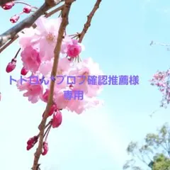 未使用 レア ChristianDior MissDior ミスディオール 香水