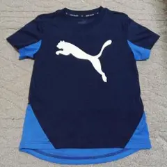 PUMATシャツ130