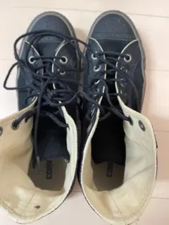 Item thumbnail for item b2ef98a1-f382-4c45-a55c-62473f58aa42