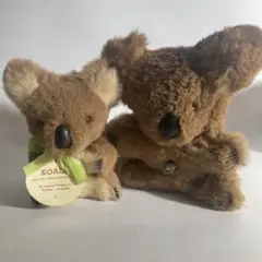 リアルファーコアラ ぬいぐるみセット / オーストラリア お土産 オルゴール