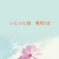 いとりん様　専用7点