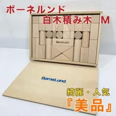 美品 ボーネルンド 白木 積み木 Mサイズ