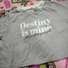 アルジー　Tシャツ