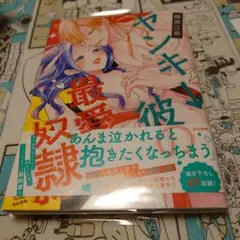ヤンキー彼の最愛奴隷
