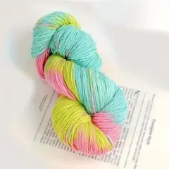 手染め糸メリノウール♡パステルカラーカセ糸 約250g