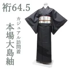 本場大島紬 訪問着 着物 染大島 濃グレー 紬 裄64.5 M 中古 sn452