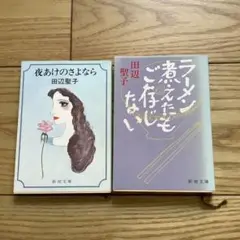 田辺聖子 新潮文庫 2冊セット