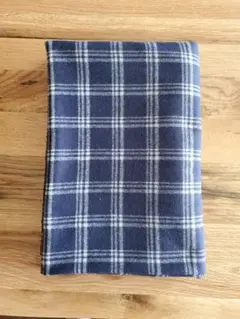 Item thumbnail for item 042f746f-1202-4246-9526-90caa9be133c