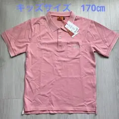 Item thumbnail for item bffc3bed-867e-4f11-9aa0-d099144d0758