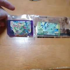 スーパートレジャー カミツオロチ あたりキャンペーン バンギラス2枚セット