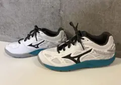 Mizuno テニスシューズ カーペットシューズ 美品　23センチ