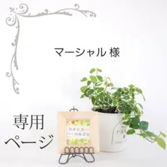 マーシャル様 リクエスト 2点 まとめ商品