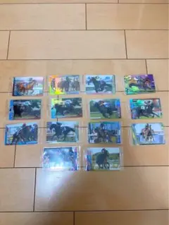 サラブレッドホースコレクション カード 14枚セット