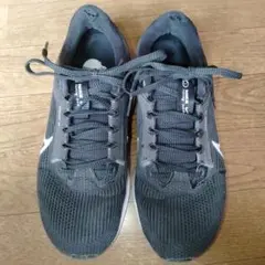 NIKE　PEGASUS40　25.0cm