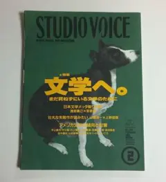 スタジオボイス vol.194 文学へ。