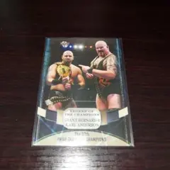 Giant Bernard & Karl Anderson IWGPタッグカード