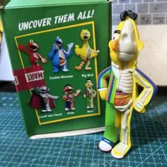 セサミストリート　バート　フィギュア　半解剖　Mighty Jaxx bert