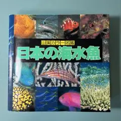 【絶版本】山渓カラー名鑑 日本の海水魚