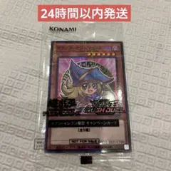 遊戯王　セブン　ブラックマジシャンガール