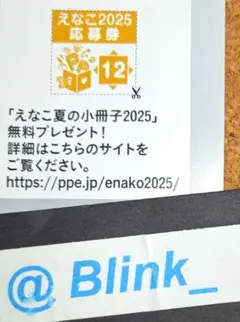 【応募券】えなこ 夏の小冊子2025★EX大衆 イーエックス 9月号★