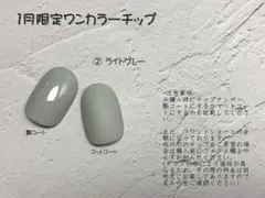 ネイルチップ:ライトグレーベース (ワンカラー・ラウンドショート)
