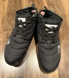 Item thumbnail for item 963a2207-a245-4d24-9274-7170da9c0fec