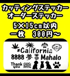 オーダーステッカー　カッティング　名前　子供　車　バイク　シール　自転車　看板