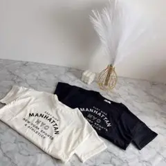 Item thumbnail for item c6ea361b-c662-4790-a862-5a7788abc2c2