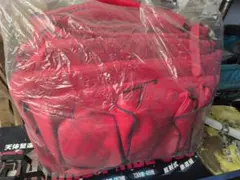Item thumbnail for item 65c8abc0-99ee-49f4-bd24-1b7e0520329b