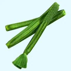 帯締め くみひも 黄緑色 和装小物